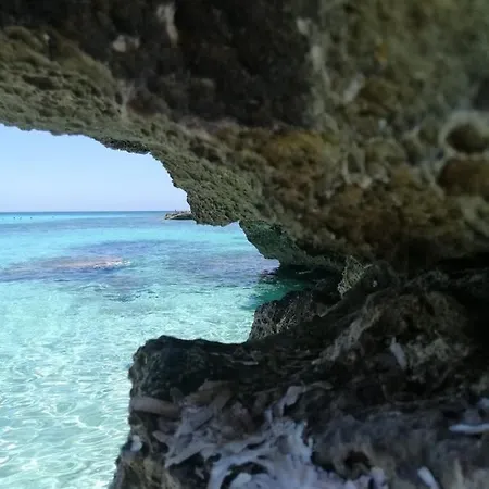 Lele's Favignana